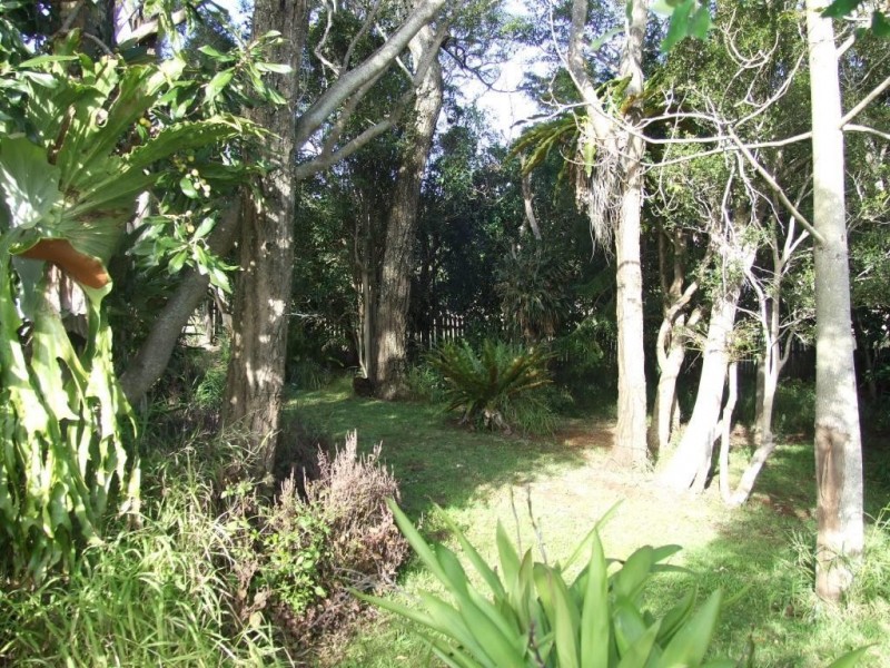 209 Pechey Forestry Road, Crows Nest QLD 4355