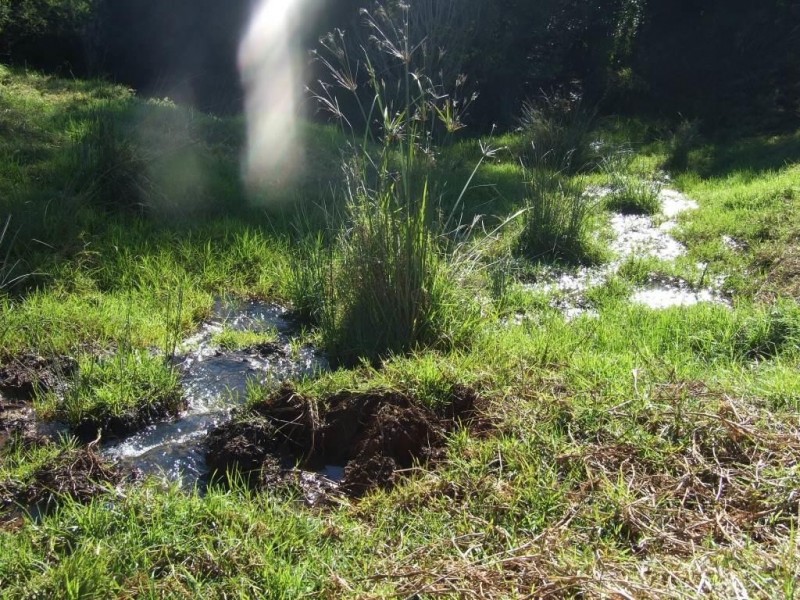 209 Pechey Forestry Road, Crows Nest QLD 4355