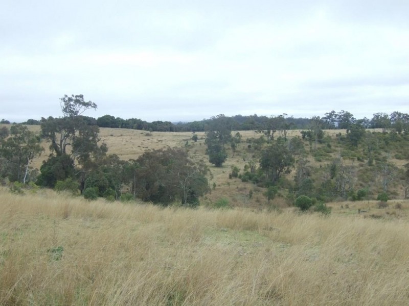 568 Plainby Douglas Road, Crows Nest QLD 4355