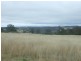 568 Plainby Douglas Road, Crows Nest QLD 4355
