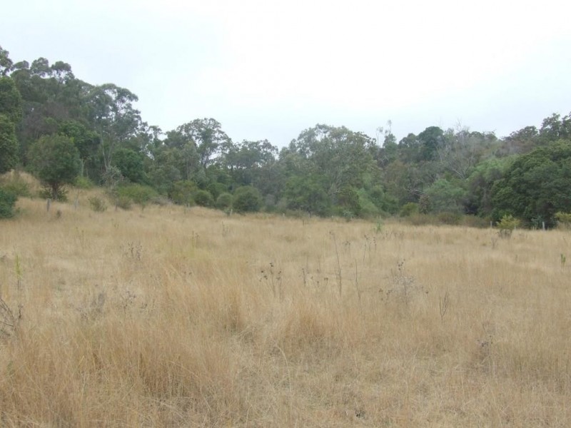 568 Plainby Douglas Road, Crows Nest QLD 4355