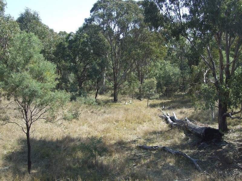 000 McCafferty Road, Hampton QLD 4352