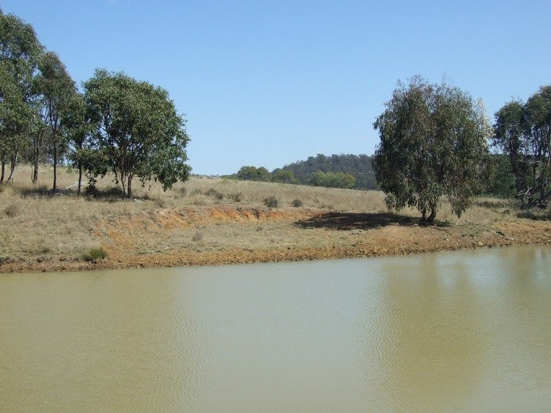 000 McCafferty Road, Hampton QLD 4352