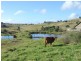107 Edser Road, Crows Nest QLD 4355