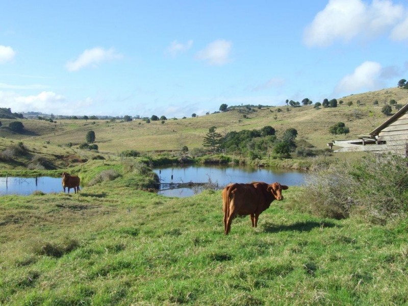 107 Edser Road, Crows Nest QLD 4355