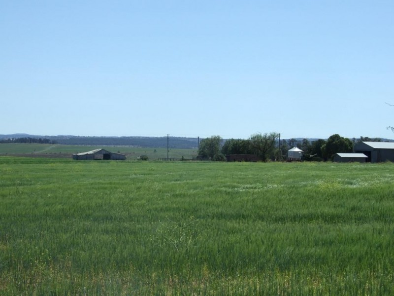 2024 Oakey-Cooyar road, Highland Plains QLD 4401