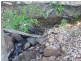 Lot 57 Murphy Road, Ravensbourne QLD 4352