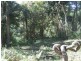 Lot 57 Murphy Road, Ravensbourne QLD 4352