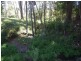 Lot 57 Murphy Road, Ravensbourne QLD 4352