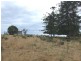 00 Haden Crows Nest Road, Haden QLD 4353