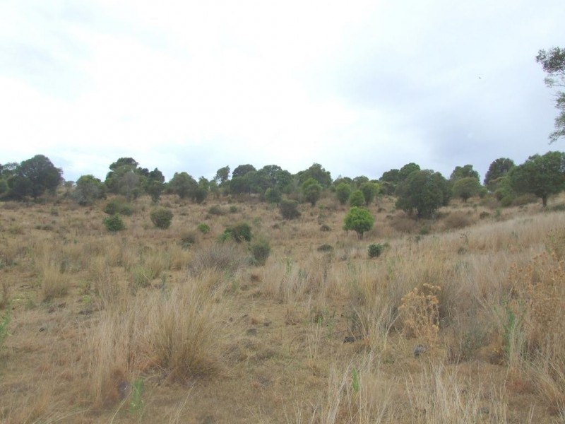 00 Haden Crows Nest Road, Haden QLD 4353