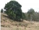 00 Haden Crows Nest Road, Haden QLD 4353