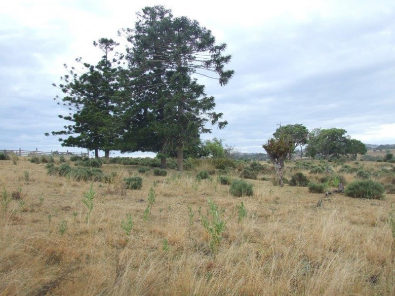 000 Haden Crows Nest Road, Crows Nest QLD 4355