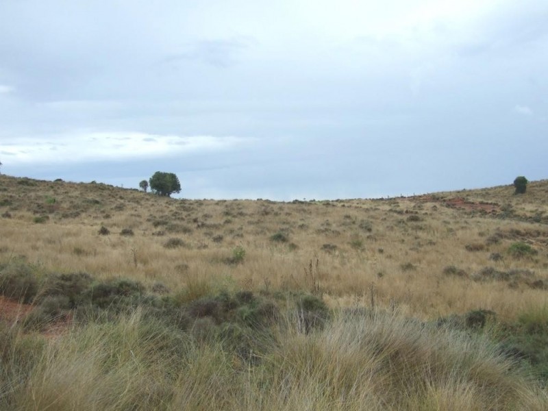 000 Haden Crows Nest Road, Crows Nest QLD 4355