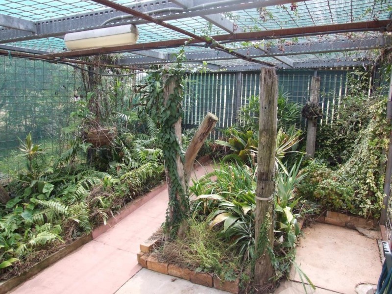 9 George Street, Goombungee QLD 4354