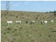 Lot 1 and 2 New England Highway, Crows Nest QLD 4355