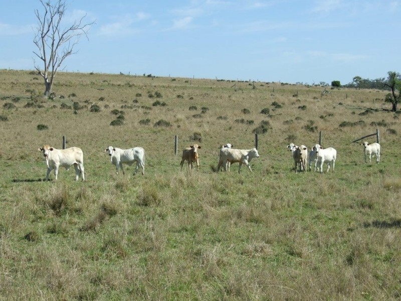 Lot 1 and 2 New England Highway, Crows Nest QLD 4355