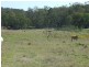 Lot 1 and 2 New England Highway, Crows Nest QLD 4355
