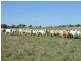 Lot 1 and 2 New England Highway, Crows Nest QLD 4355