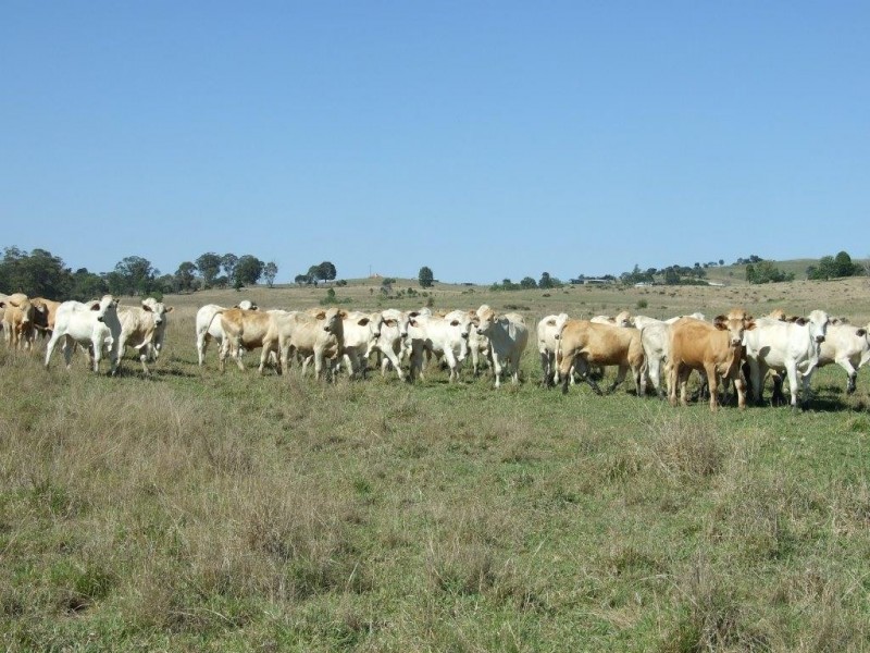 Lot 1 and 2 New England Highway, Crows Nest QLD 4355