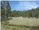 L235 Coalbank Boundary Road, Haden QLD 4353