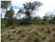 L235 Coalbank Boundary Road, Haden QLD 4353