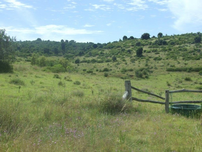 20 Mann Road, Haden QLD 4353