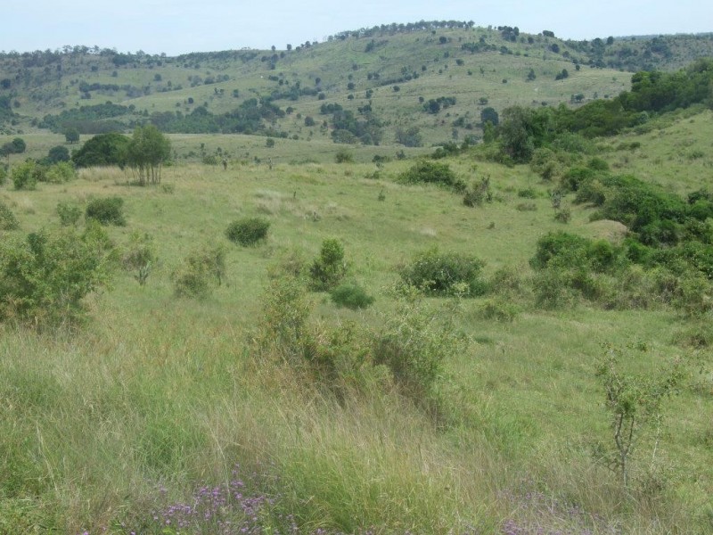 20 Mann Road, Haden QLD 4353