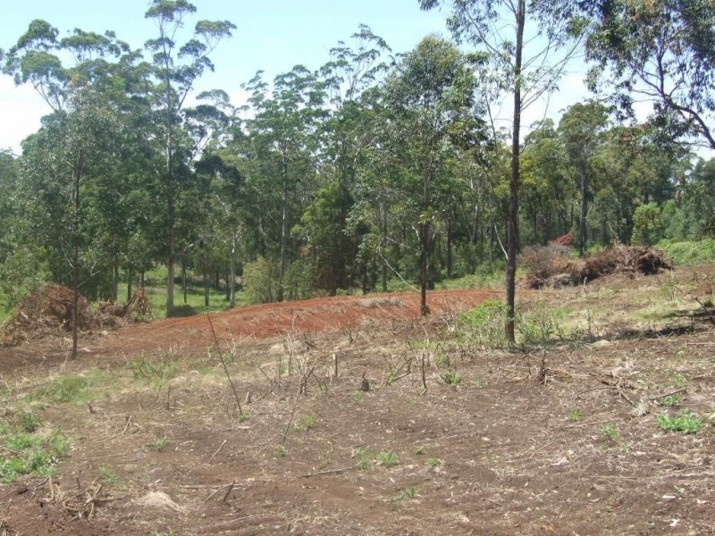 Lot 207 Anduramba Road, Crows Nest QLD 4355