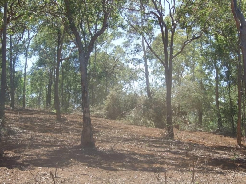 Lot 207 Anduramba Road, Crows Nest QLD 4355