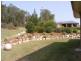 2 Vicky Avenue, Crows Nest QLD 4355