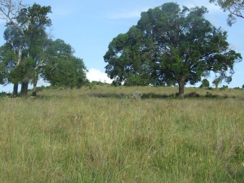 92 Moran Road, Crows Nest QLD 4355