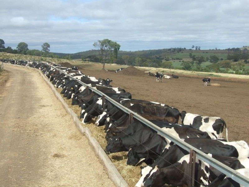 151 Brigalow Park School Road, Kulpi QLD 4352