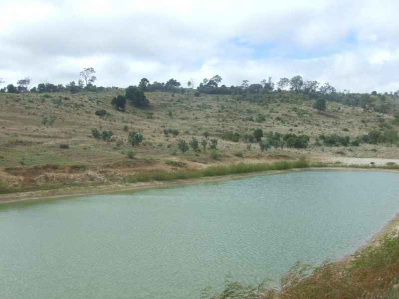 151 Brigalow Park School Road, Kulpi QLD 4352