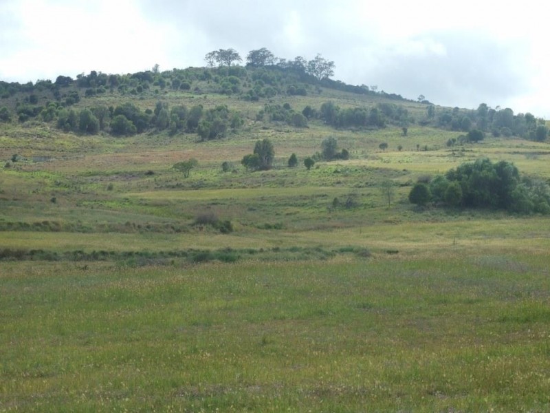 151 Brigalow Park School Road, Kulpi QLD 4352