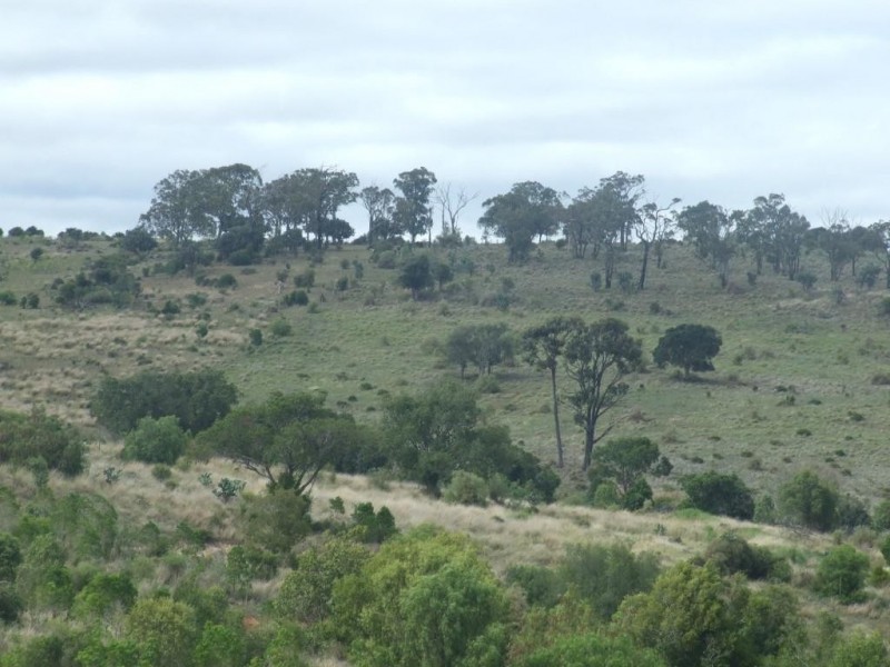 151 Brigalow Park School Road, Kulpi QLD 4352