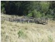 1179 Djuan Road, Haden QLD 4353
