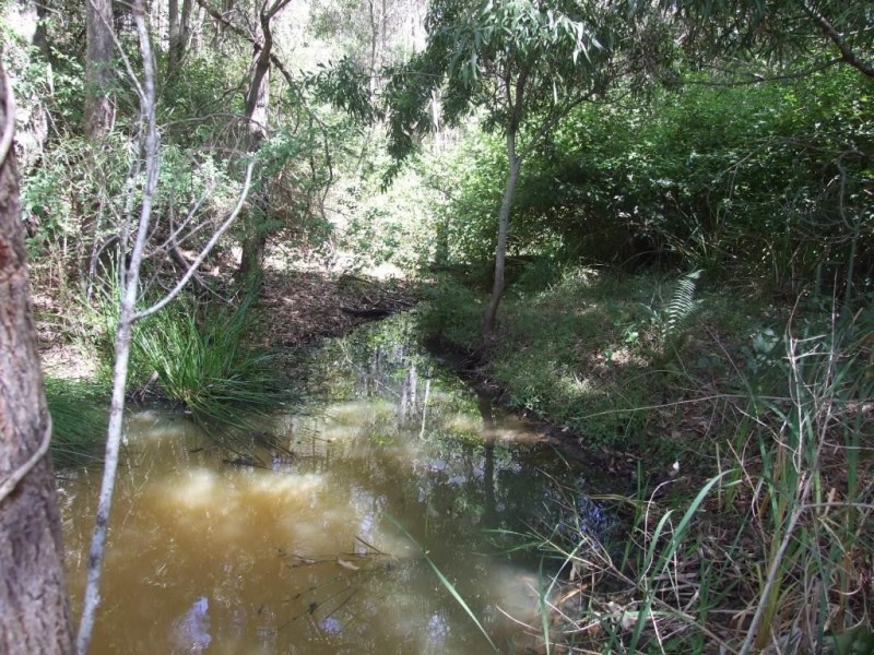 42 Austin Road, Crows Nest QLD 4355