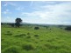 471 Upper Pinelands Road, Crows Nest QLD 4355