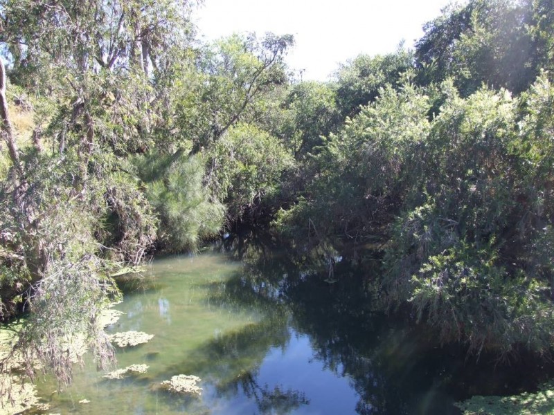 2523 Pierce Creek Road, Crows Nest QLD 4355