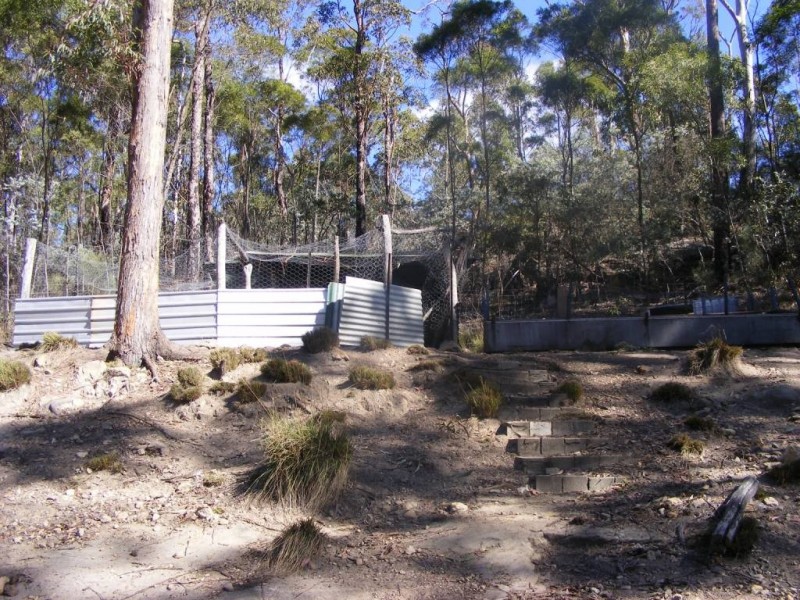 13 Pinnell Road, Crows Nest QLD 4355