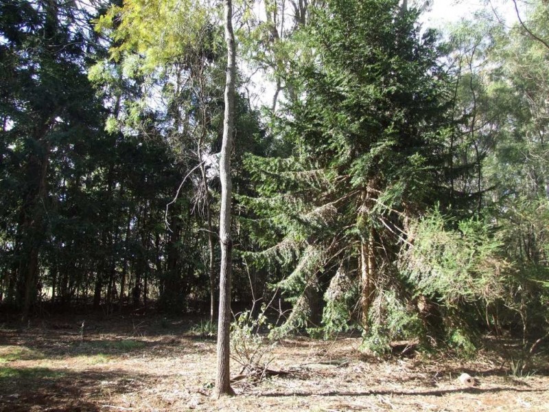 9925 New England Highway, Cabarlah QLD 4352