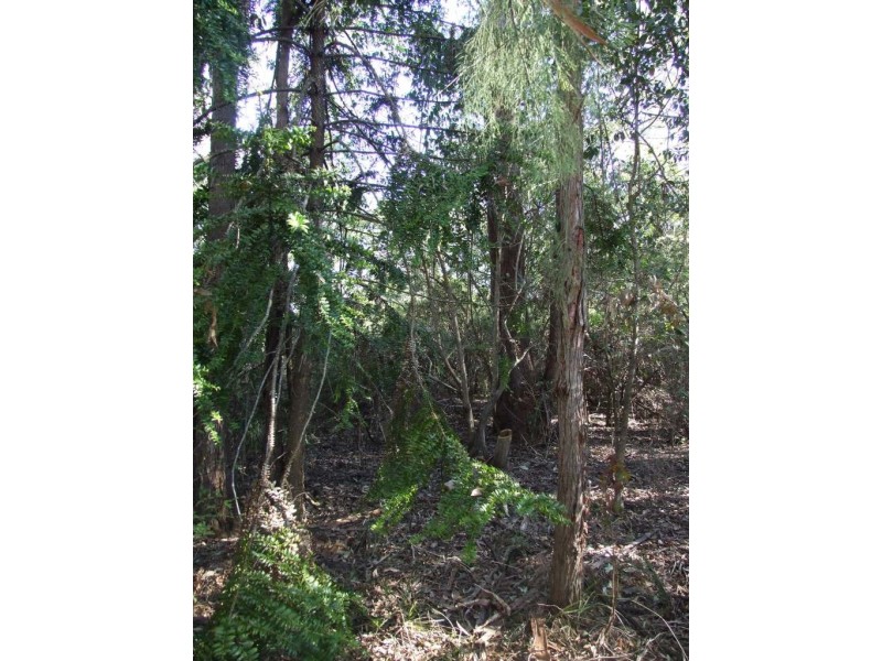 9925 New England Highway, Cabarlah QLD 4352