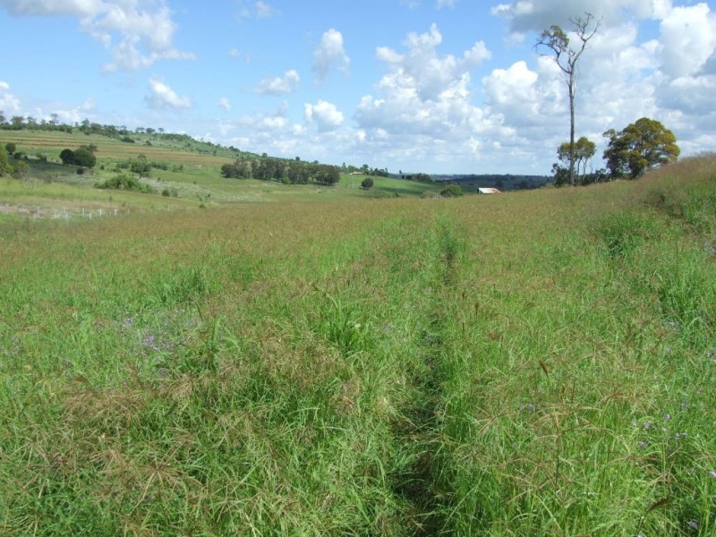 300 Reeds Road, Peranga QLD 4352