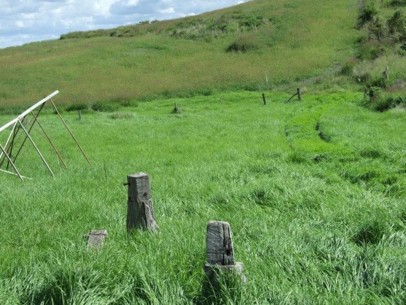 300 Reeds Road, Peranga QLD 4352