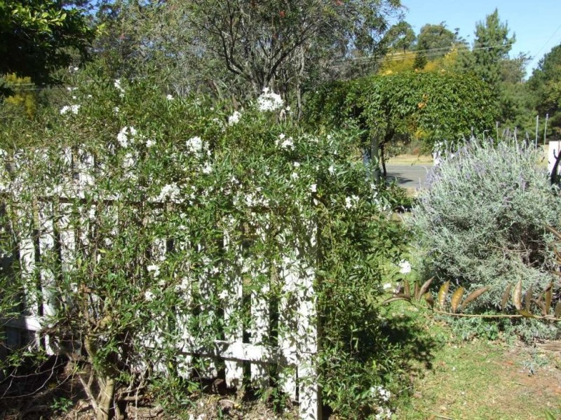 3a Station Street, Hampton QLD 4352