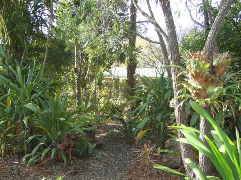 10 Hampton Road, Hampton QLD 4352