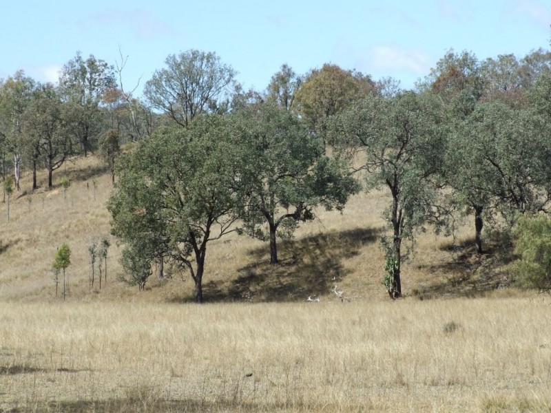 L406-409 Cooyar Mt Binga Road, Cooyar QLD 4402