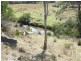 137 Cooyar-Rangemore Road, Cooyar QLD 4402