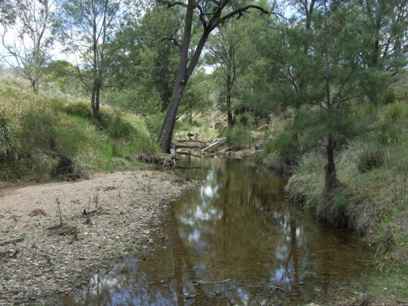 Lot 346 Pierce Creek Road, Crows Nest QLD 4355